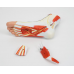 Regional Anatomy of the Foot, 3-parts
