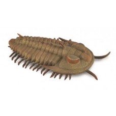 Trilobite model , size: 95 x 24mm