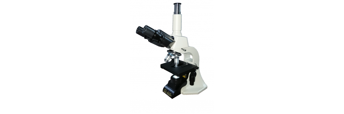 Trinocular Microscope